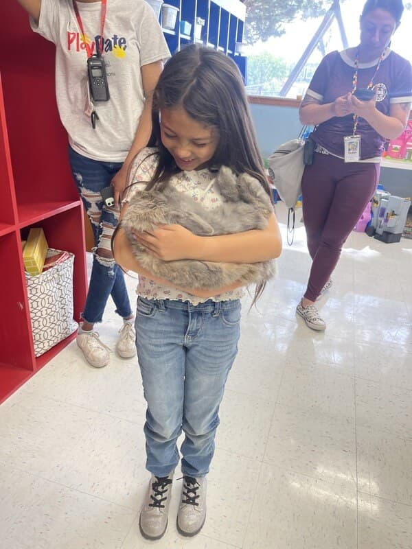 A girl smiling down at a gray rabbit she is holding, with PlayDate staff behind her